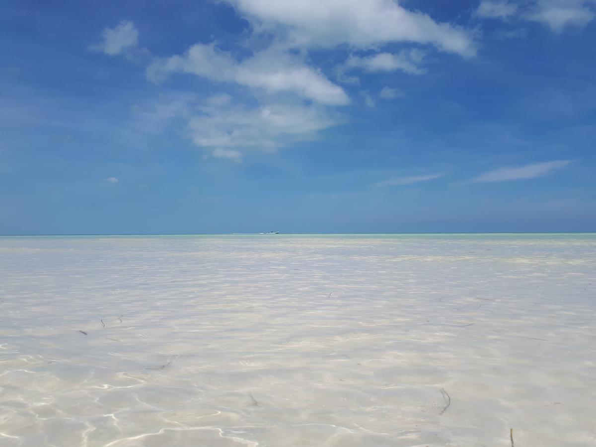 Aparthotel Casa Vainilla Holbox Island Extérieur photo