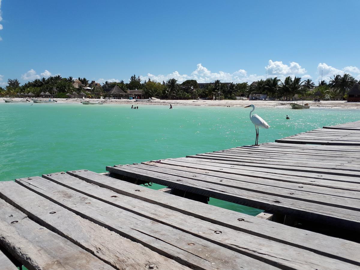 Aparthotel Casa Vainilla Holbox Island Extérieur photo